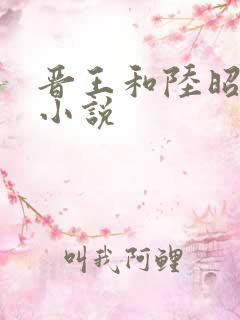 晋王和陆昭菱的小说