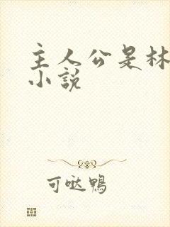 主人公是林天的小说