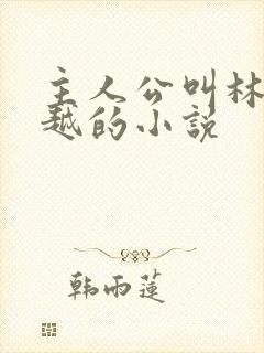 主人公叫林枫穿越的小说