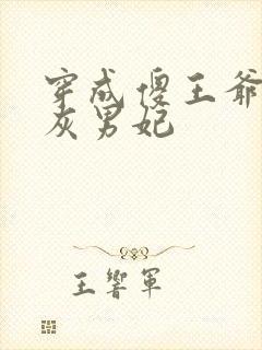 穿成傻王爷的炮灰男妃