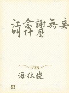 江念谢无妄小说叫什么