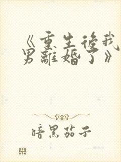 《重生后我和渣男离婚了》