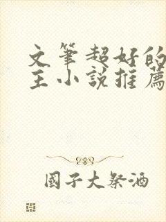 文笔超好的双男主小说推荐