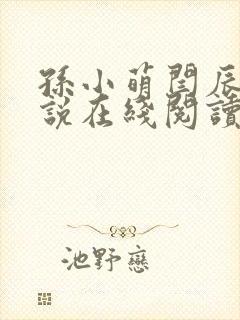 孙小萌闫辰的小说在线阅读全文下载