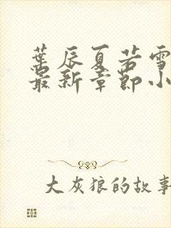 叶辰夏若雪孙怡最新章节小说