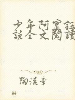 少年阿宾钰慧小说全文阅读