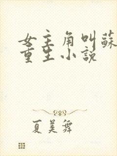 女主角叫苏颜的重生小说