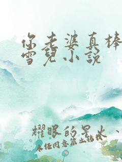 你老婆真棒娇妻雪儿小说