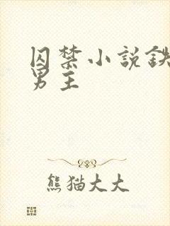 囚禁小说铁链双男主