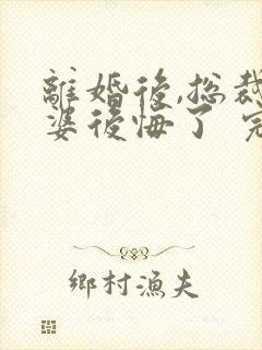 离婚后,总裁老婆后悔了 完结版