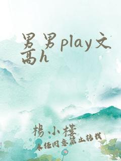 男男play文高h