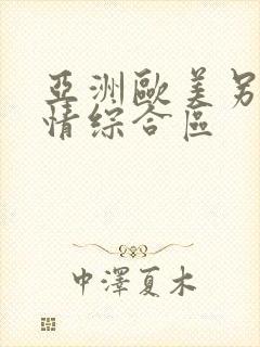 亚洲欧美另类激情综合区