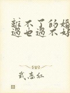 离不了的婚姻,过也过不好怎么办