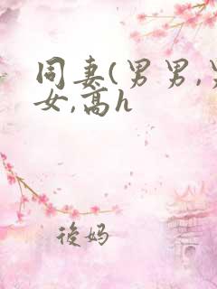 同妻(男男,男女,高h