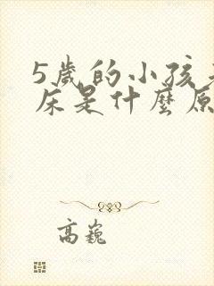 5岁的小孩老尿床是什么原因