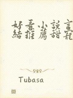 好看小说言情完结推荐甜宠文