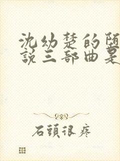 沈幼楚的堕落小说三部曲是什么