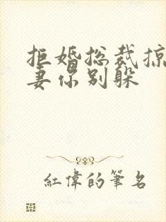 拒婚总裁掠爱前妻你别躲