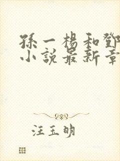 孙一杨和邓开文小说最新章节更新内