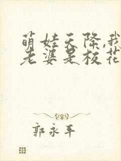 萌娃天降,我的老婆是校花短剧资源