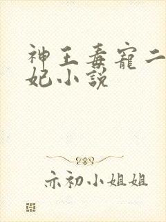 神王毒宠二嫁王妃小说