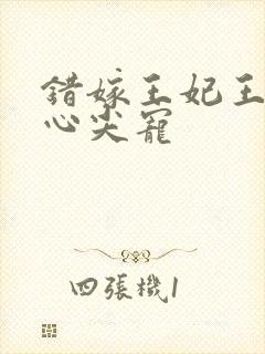 错嫁王妃王爷的心尖宠