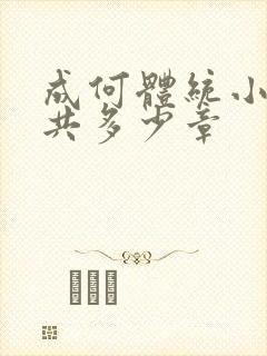 成何体统小说总共多少章