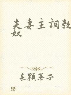 夫妻主调教夫妻奴