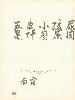 五岁小孩尿裤子是什么原因