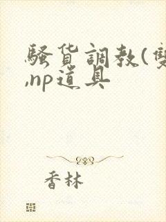 骚货调教(双性,np道具