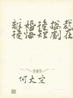 离婚后总裁老婆后悔短剧在线观看全集