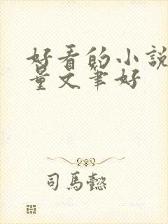 好看的小说高质量文笔好