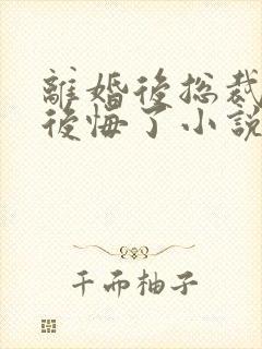 离婚后总裁老婆后悔了小说