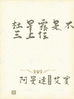 杜星霖是不是小三上位