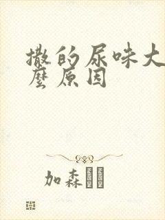 撒的尿味大是什么原因