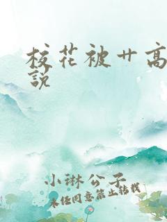 校花被艹高h小说