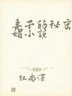 妻子的秘密江小媚小说