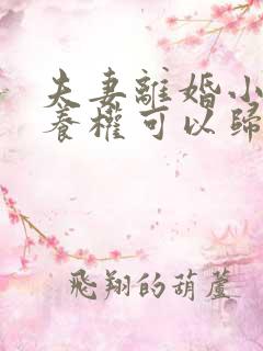 夫妻离婚小孩抚养权可以归双方吗