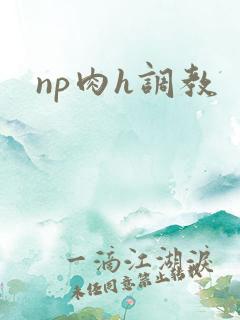 np肉h调教