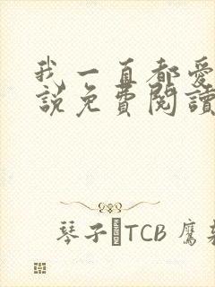 我一直都爱你小说免费阅读