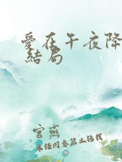 爱在午夜降临前 结局