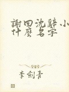 谢回沈辞小说叫什么名字