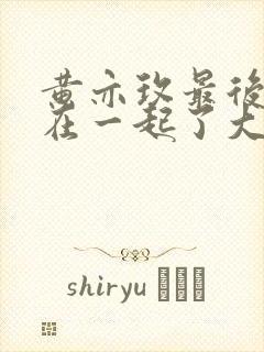 黄亦玫最后和谁在一起了大结局