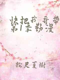 快把我哥带走 第1季动漫