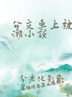 公交车上被插高潮小说