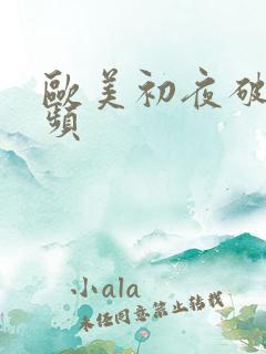 欧美初夜破处视频