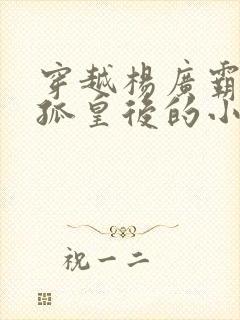 穿越杨广霸占独孤皇后的小说