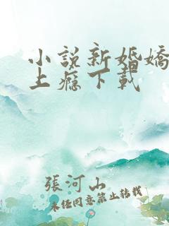 小说新婚娇妻宠上瘾下载