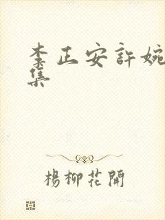 李正安许婉卿全集