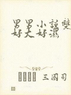 男男小说双性啊好大好湿